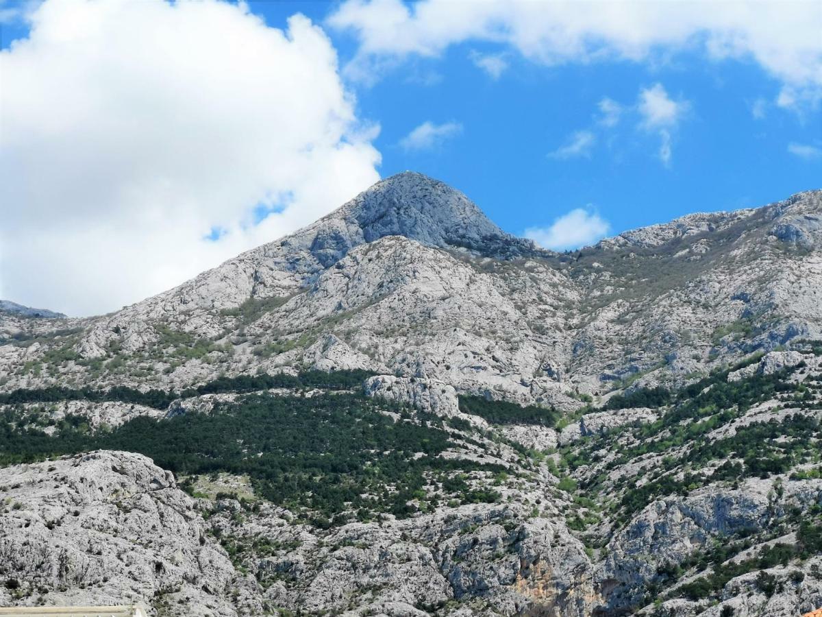 Apartment Makarska, Panoramic Sea & Mountains View, Cucek Zewnętrze zdjęcie